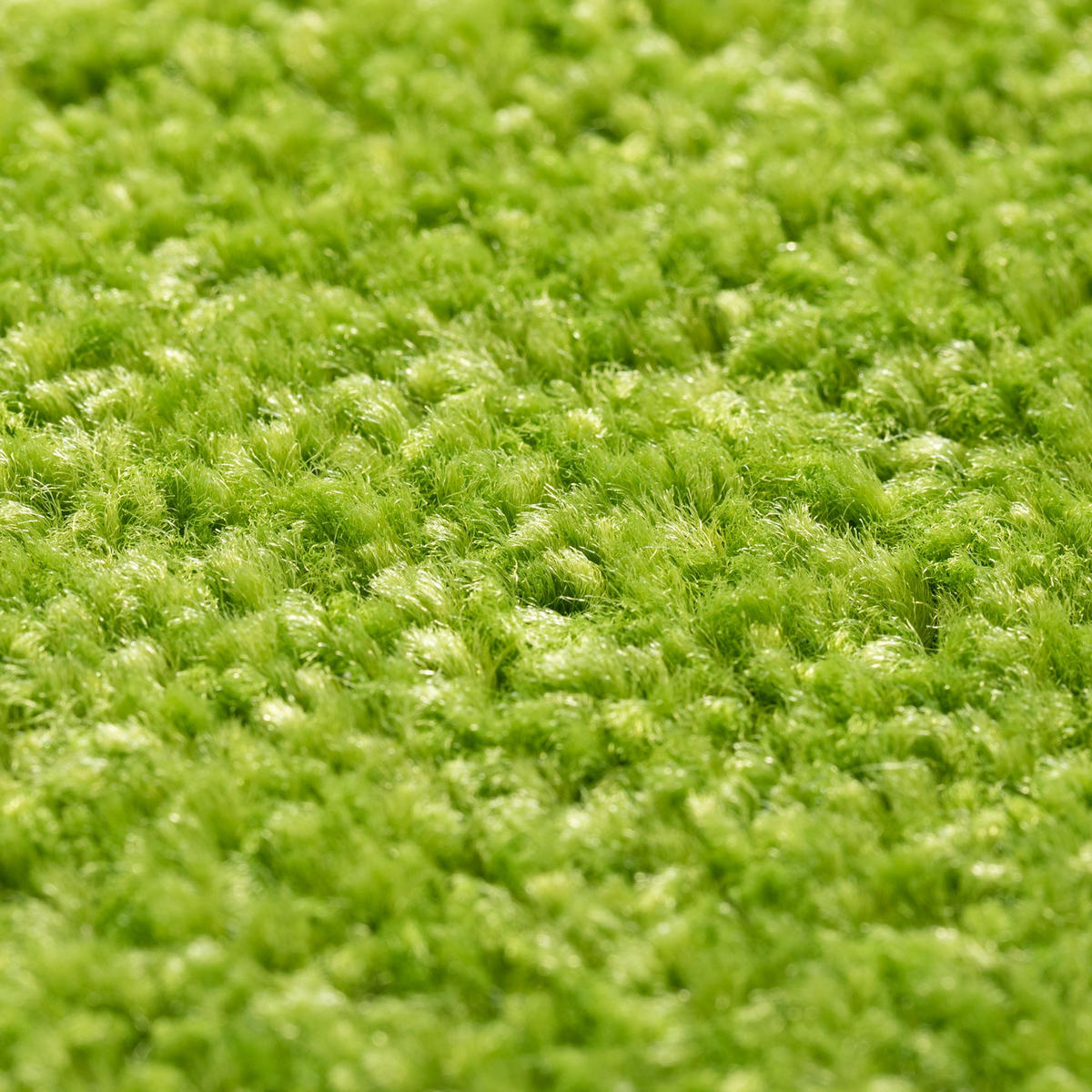 TEPPICH Ibiza 200/300 cm - Grün, Textil (200/300cm) - Steffensmeier