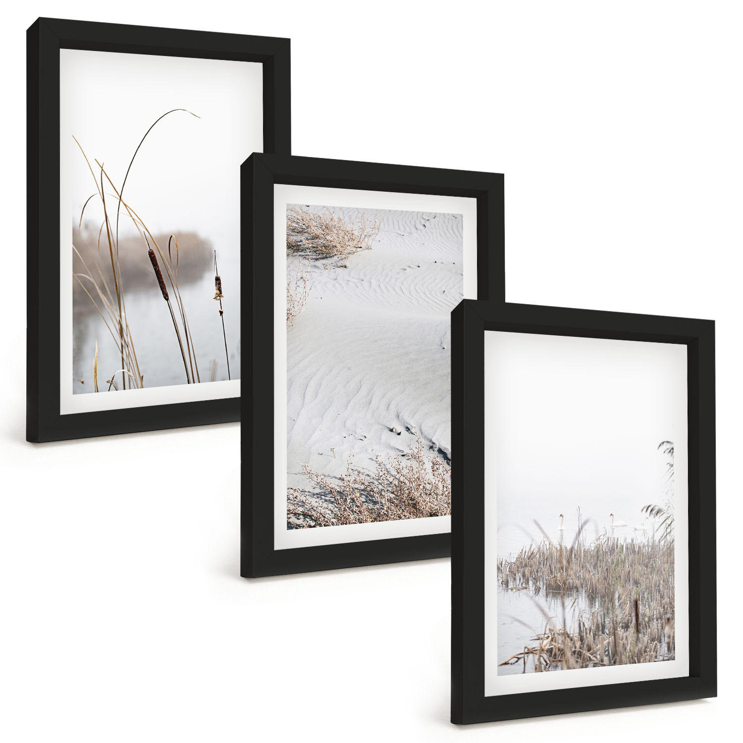 BILDER SET 3er Set - 20x30 cm Schwarzer Rahmen - Wasserpflanzen im Sommer - Schwarz, Kunststoff (20/30cm) - TULUP