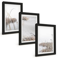 BILDER SET 3er Set - 20x30 cm Schwarzer Rahmen - Wasserpflanzen im Sommer - Schwarz, Kunststoff (20/30cm) - TULUP