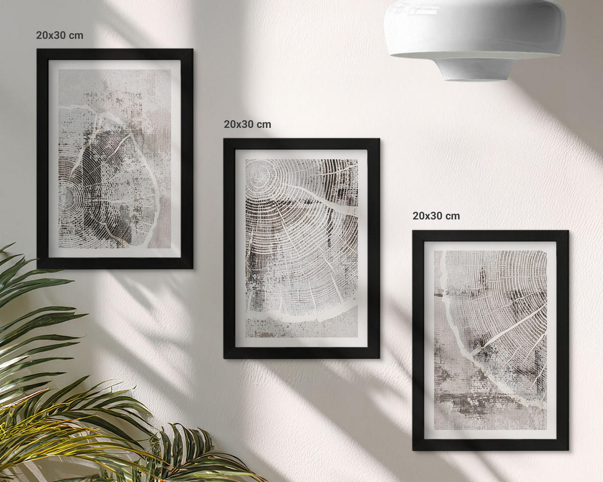 WANDBILDER 3er-Set - 20x30 cm Schwarzer Rahmen - Graue Holzmaserungsmuster - Schwarz, Kunststoff (20/30cm) - ArtPrintCave