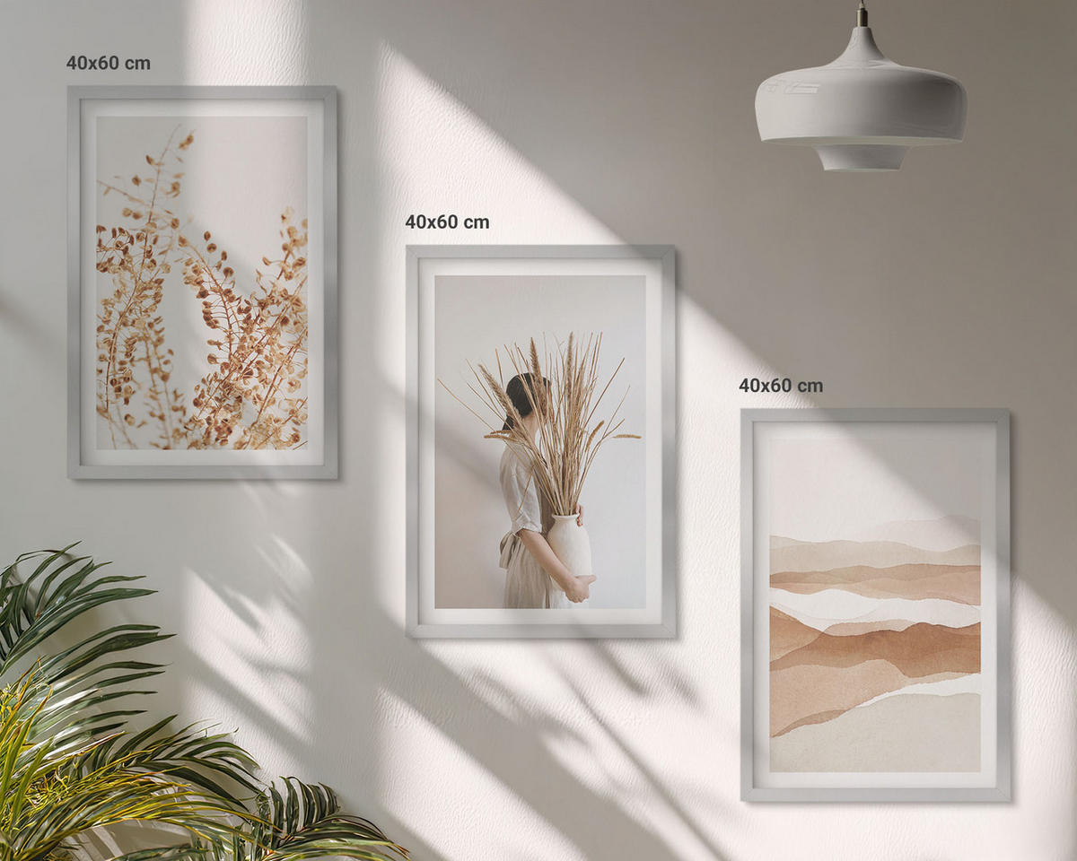 WANDBILDER 3er Set - 40x60 cm Silberner Rahmen - Rustikale Boho-Blumenmotive - Silberfarben, Kunststoff (40/60cm) - ArtPrintCave