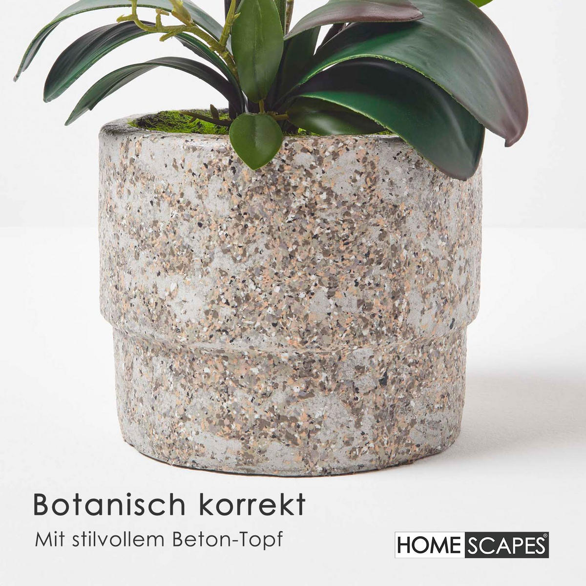 KUNSTBLUME Orchidee pink-weiß im Deko-Topf, 64 cm - Weiß, Kunststoff (64cm) - Homescapes