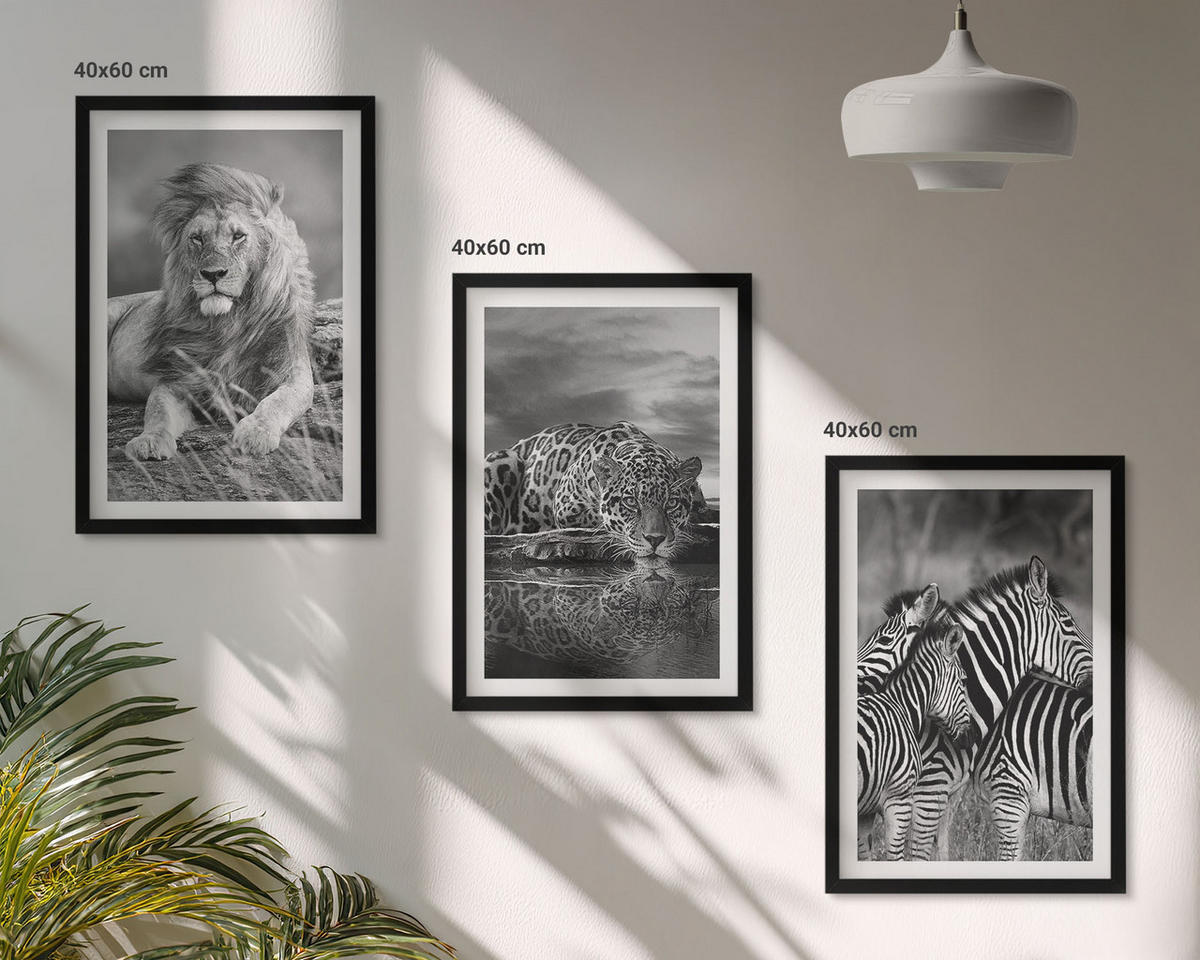 WANDBILDER 3er-Set - 40x60 cm Schwarzer Rahmen - Wildtiere der Savanne - Schwarz, Kunststoff (40/60cm) - ArtPrintCave