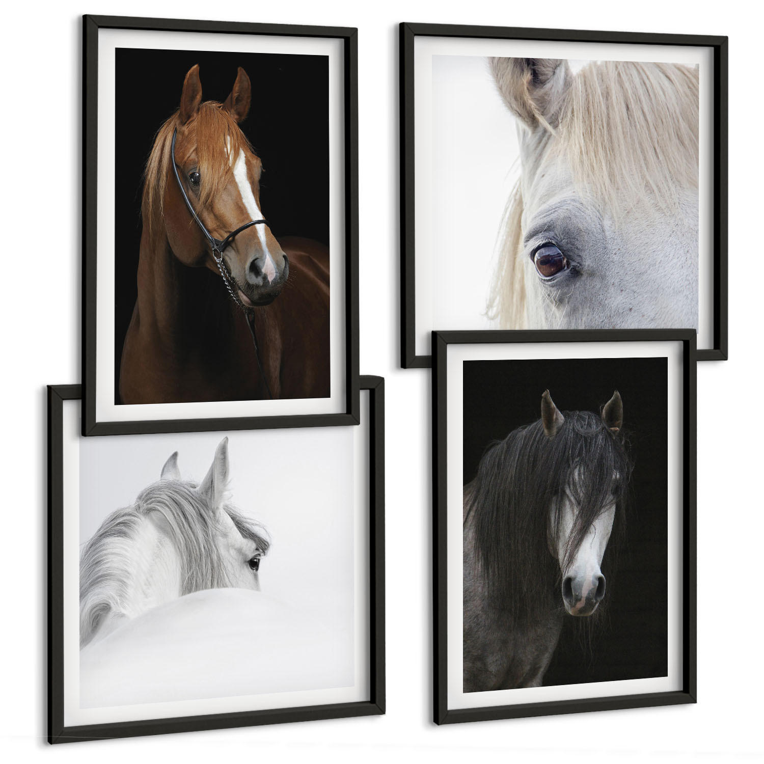 BILDER SET 4er Set - 50x50 cm & 40x60 cm Schwarzer Rahmen - Pferdeporträts in Schattierungen - Schwarz, Kunststoff (50/50cm) - TULUP