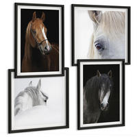 BILDER SET 4er Set - 50x50 cm & 40x60 cm Schwarzer Rahmen - Pferdeporträts in Schattierungen - Schwarz, Kunststoff (50/50cm) - TULUP