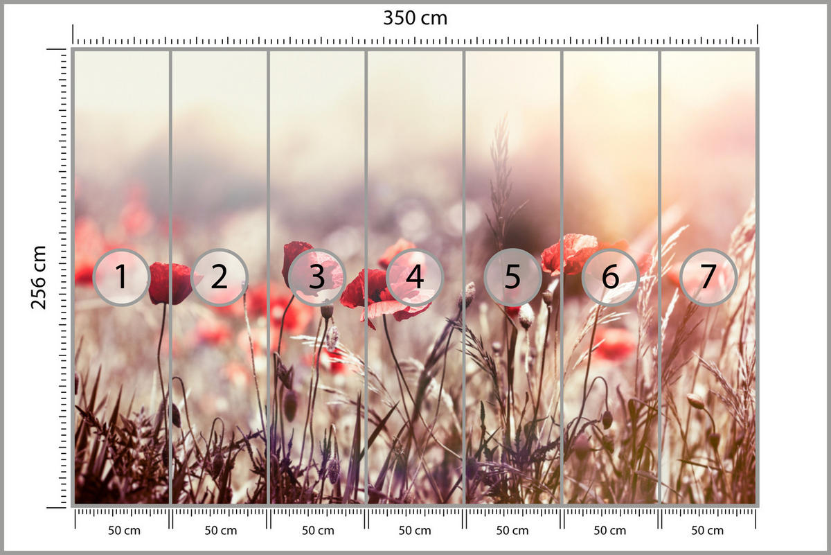FOTOTAPETE für Esszimmer Feldblumen Rote Mohnwiese Sonne 350x256 - Rot/Orange, Papier (350/256cm) - Muralo