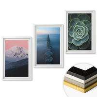 WANDBILDER 3er-Set - 40x60 cm Weißer Rahmen - Berge, rosa Himmel, Wasser, Sukkulente - Weiß, Kunststoff (40/60cm) - ArtPrintCave
