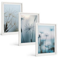 BILDER SET 3er Set - 40x60 cm Weißer Rahmen - Löwenzahn mit Wassertropfen - Weiß, Kunststoff (40/60cm) - TULUP