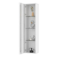 VITRINE mit 4 Ebenen Acrylglas LED Beleuchtung Fernbedienung modern Weiß Spanplatte transparent - Transparent/Weiß, Glas/Holzwerkstoff (40/170/29cm) - EVRYAE