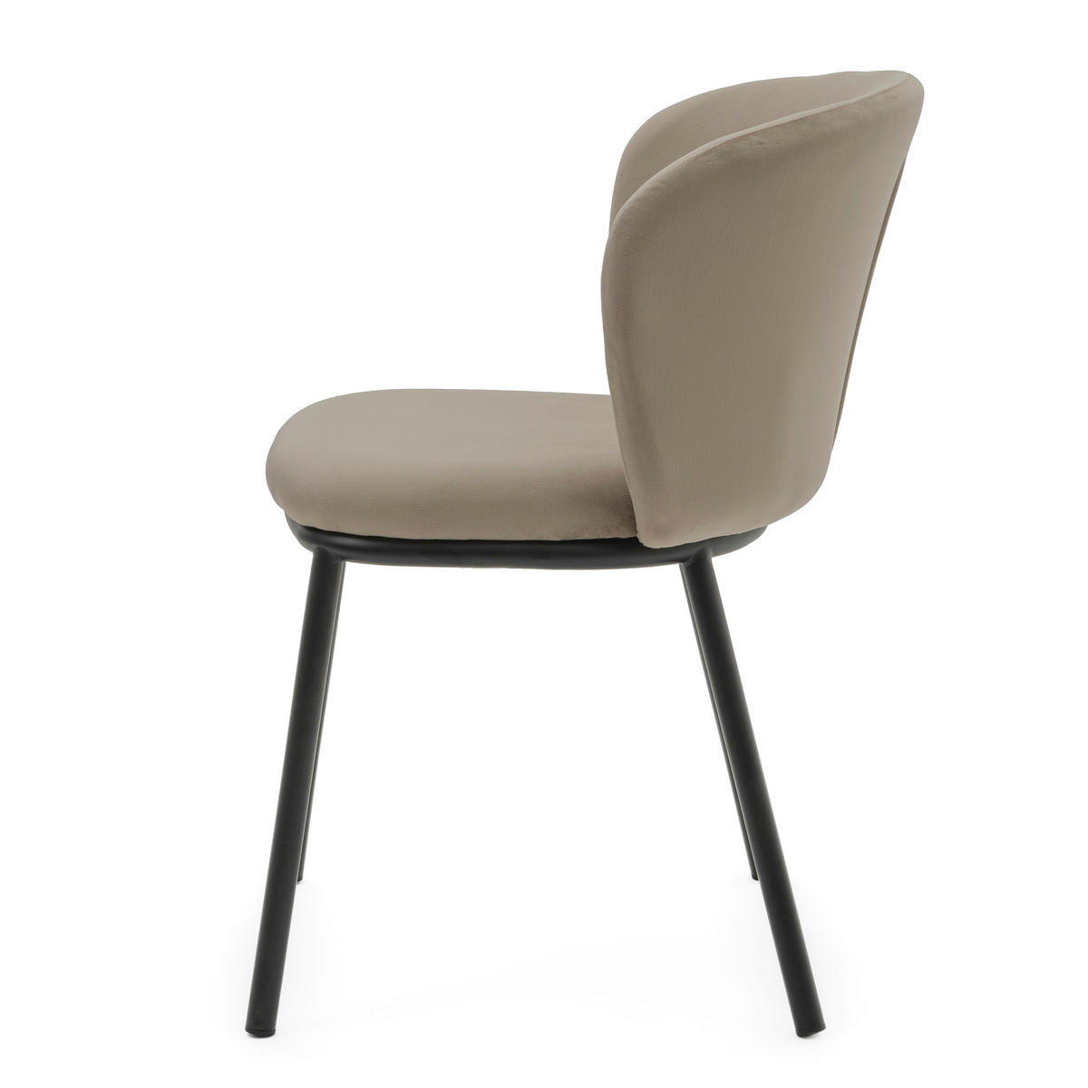 STUHL BARI gepolsterter mit Steppung - dunkelbeige - Samt Velour - Schwarz/Braun, Textil/Metall (54/81/57cm) - NEW HOME