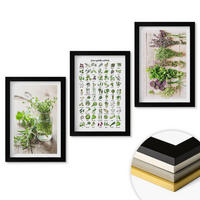 WANDBILDER 3er-Set - 20x30 cm Schwarzer Rahmen - Getrocknete Kräuter für die Küche - Schwarz, Kunststoff (20/30cm) - ArtPrintCave