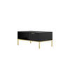 COUCHTISCH Austin II 60/45,4/100 cm - Schwarz, Holzwerkstoff (100/60/45cm) - Kocot Kids