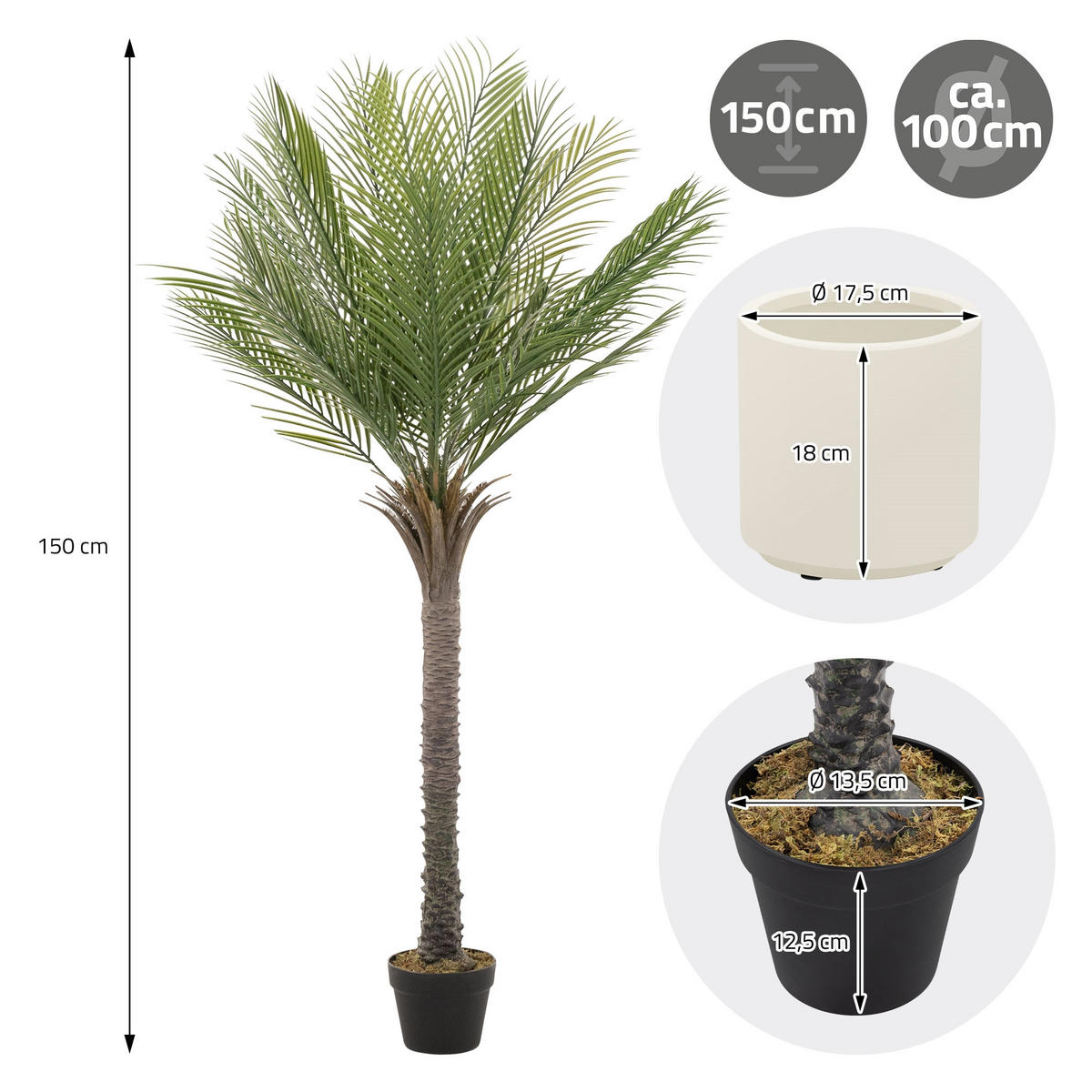 KUNSTPFLANZE Palme - Anthrazit/Grün, Holz/Kunststoff (150cm) - ML-DESIGN