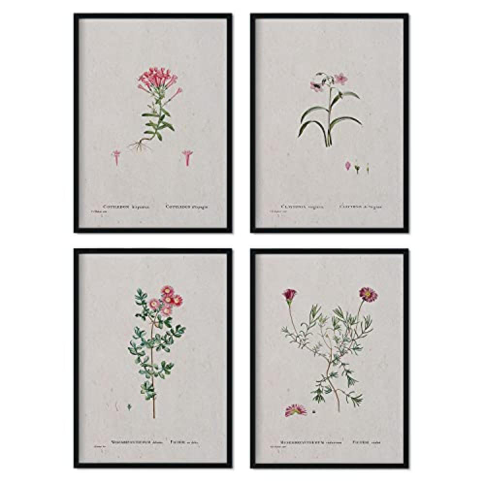 POSTER Set mit 4 mit rosa Blättern aus dem Künstler PierreJoseph Redouté A3 Rahmenlos - Klar, Papier (29.7/3cm) - Nacnic
