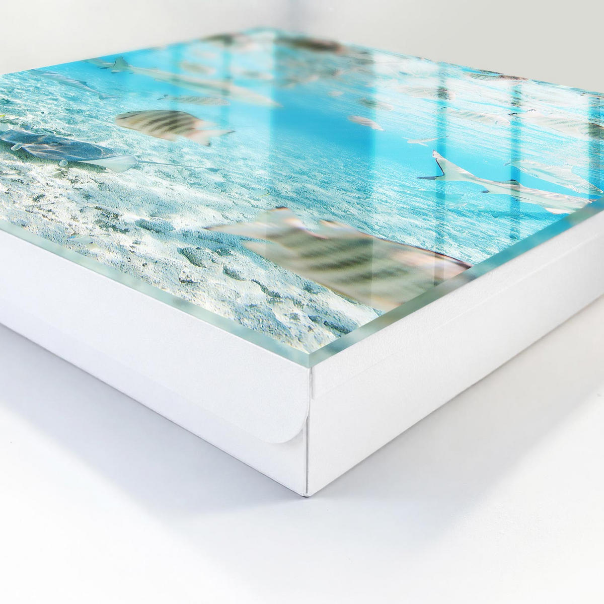 SCHLÜSSELBOX Weiß 30x30 cm – Türöffnung nach rechts - Wasserleben - Türkis, Metall (30/30/5cm) - TULUP