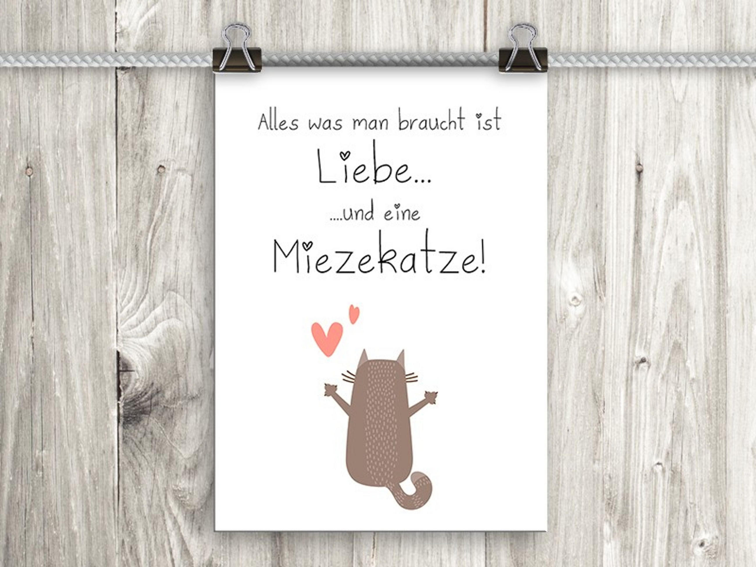 POSTER DIN A4 21x29,7 cm Katze Spruch Deko - Braun, Papier (21/29.7/2cm) - artissimo