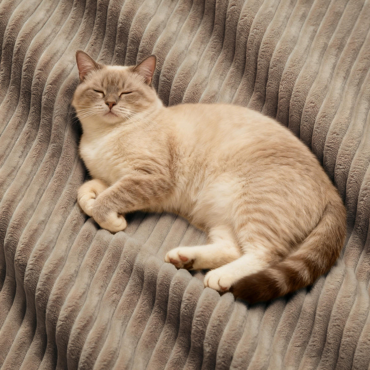 SOFA modular mit Tiefsitz 74 cm Cord Brown 3-tlg. - Braun, Kunststoff (177/69/204cm) - Meubliv