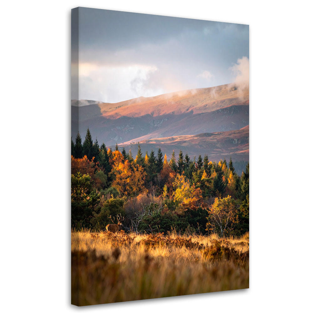 LEINWANDBILD Landschaft Berge Täler Natur 80x120cm - Multicolor, Textil (80/120cm) - Feeby