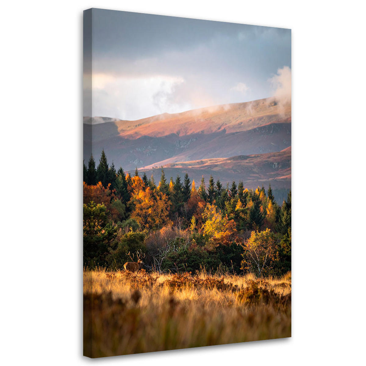 LEINWANDBILD Landschaft Berge Täler Natur 80x120cm - Multicolor, Textil (80/120cm) - Feeby