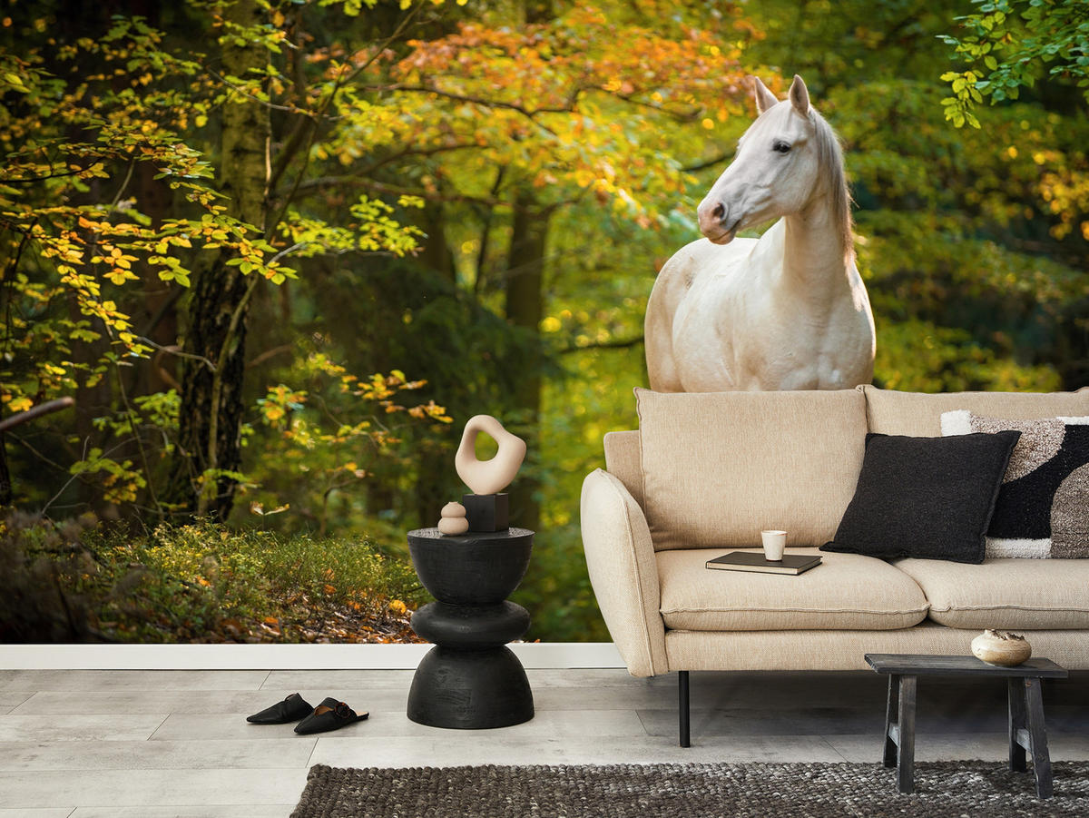 FOTOTAPETE für Schlafzimmer Weißes Pferd Wald Bäume Blätter 250x175 - Gelb/Beige, Papier (250/175cm) - Muralo