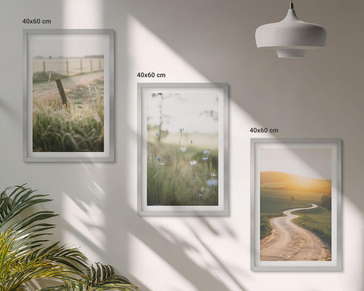 BILDER SET 3er Set - 40x60 cm Silberner Rahmen - Landschaftswiesenstraße West - Silberfarben, Kunststoff (40/60cm) - TULUP