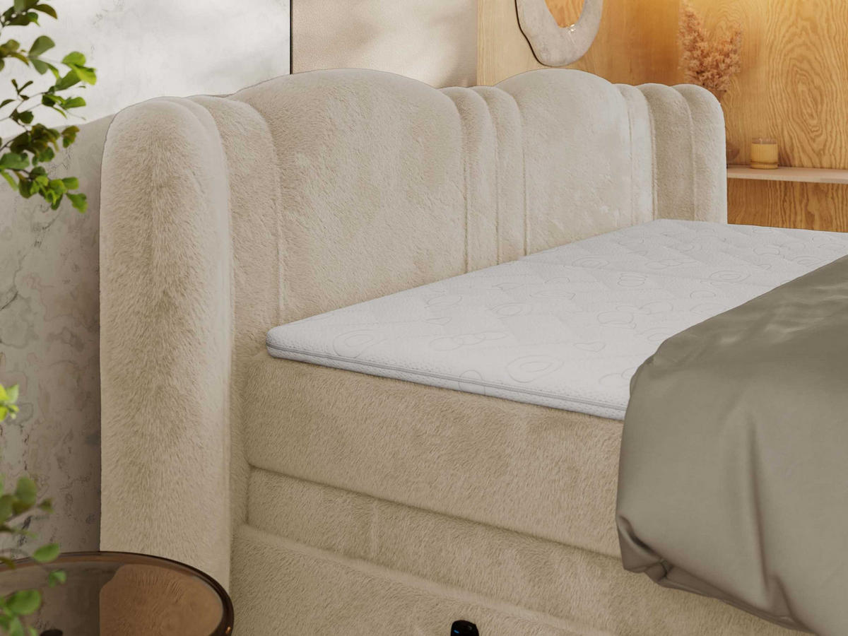 BOXSPRINGBETT FORTINA 160/200 - Creme Plüsch - Topper T25 - H4 - Creme/Schwarz, Holz/Textil (160/200cm) - MKS