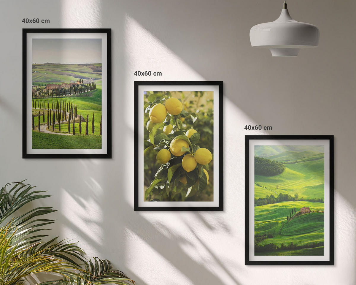 BILDER SET 3er Set - 40x60 cm Schwarzer Rahmen - Italienische Zitrusfrüchte und Hügel - Schwarz, Kunststoff (40/60cm) - TULUP
