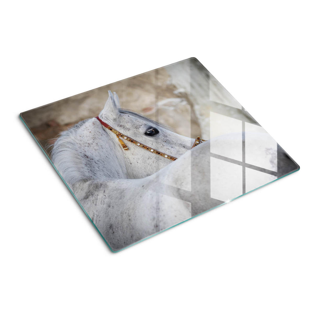 GLASPLATTE 60x52 cm Arabisches Pferd - Weiß, Glas (60/0.4/52cm) - TULUP