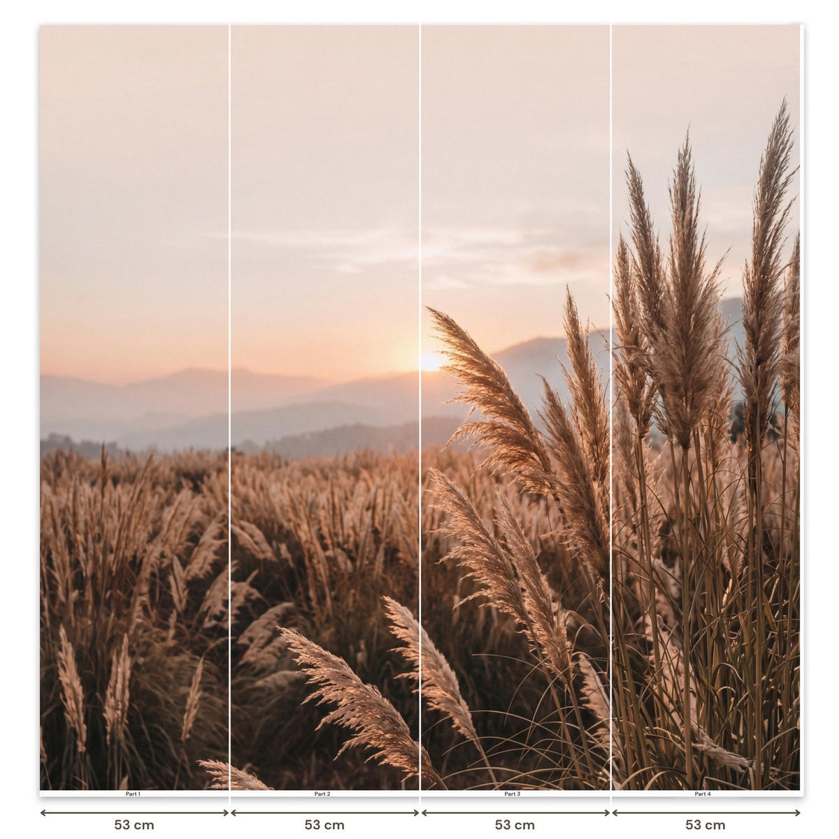 TAPETE - Gras - Feld - Sonne - Natur - 200x200 cm - Sandfarben, Papier (200/200cm) - OnlyWow