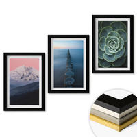 WANDBILDER 3er-Set - 20x30 cm Schwarzer Rahmen - Berge, rosa Himmel, Wasser, Sukkulente - Schwarz, Kunststoff (20/30cm) - ArtPrintCave