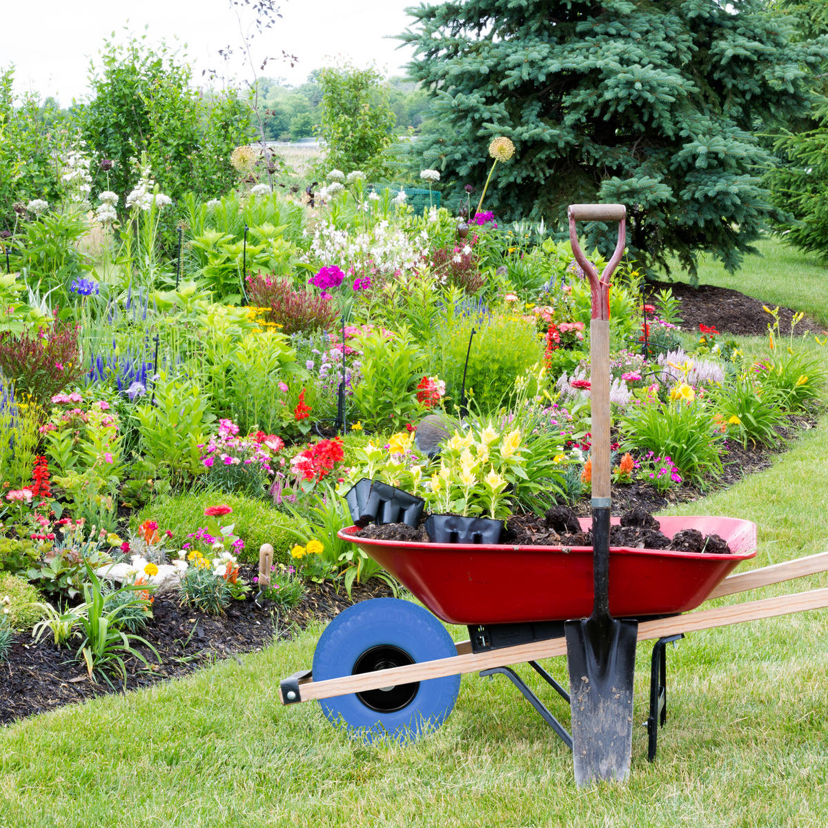 2xSCHUBKARRENRAD - Multicolor, Kunststoff/Metall (7.5/26/7.5cm) - Relaxdays