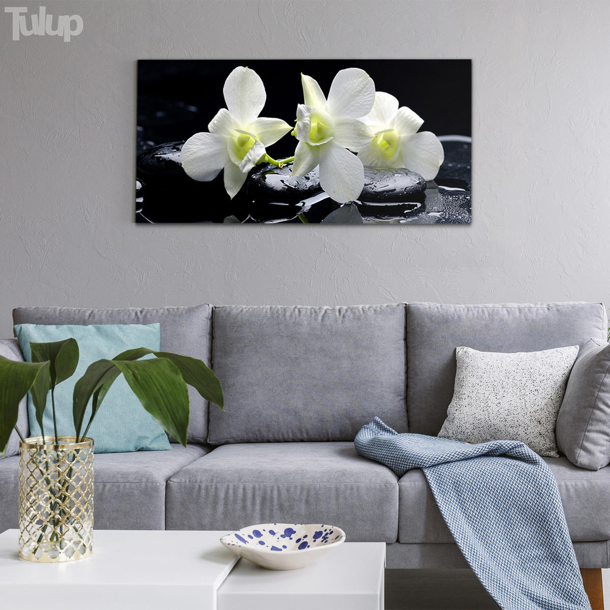 GLASBILD 120x60 cm Orchideenblüte - Schwarz/Hellgrün, Glas (120/60cm) - TULUP