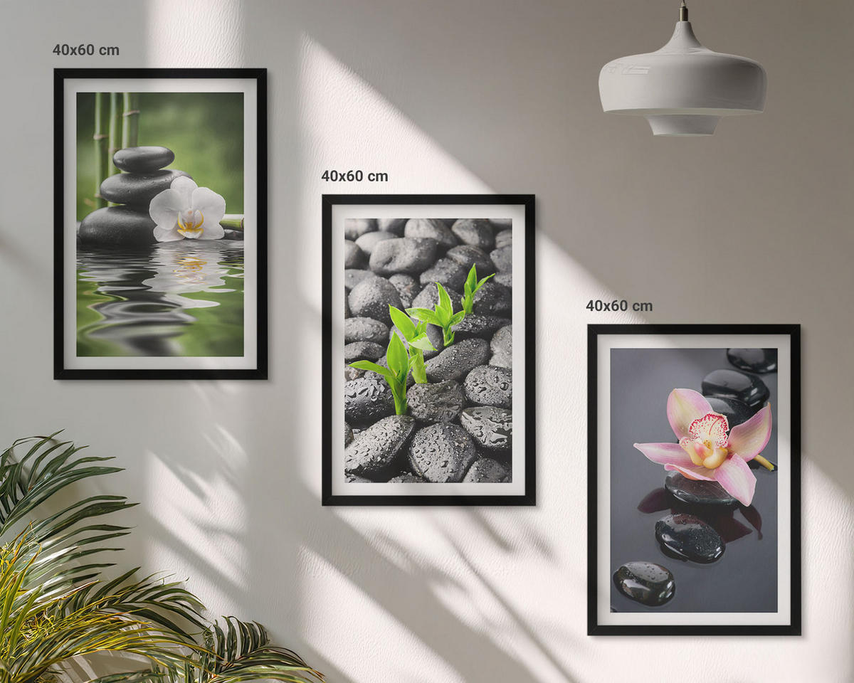 WANDBILDER 3er-Set - 40x60 cm Schwarzer Rahmen - Eine ruhige Zen-Komposition aus Blumen und Wasser - Schwarz, Kunststoff (40/60cm) - ArtPrintCave