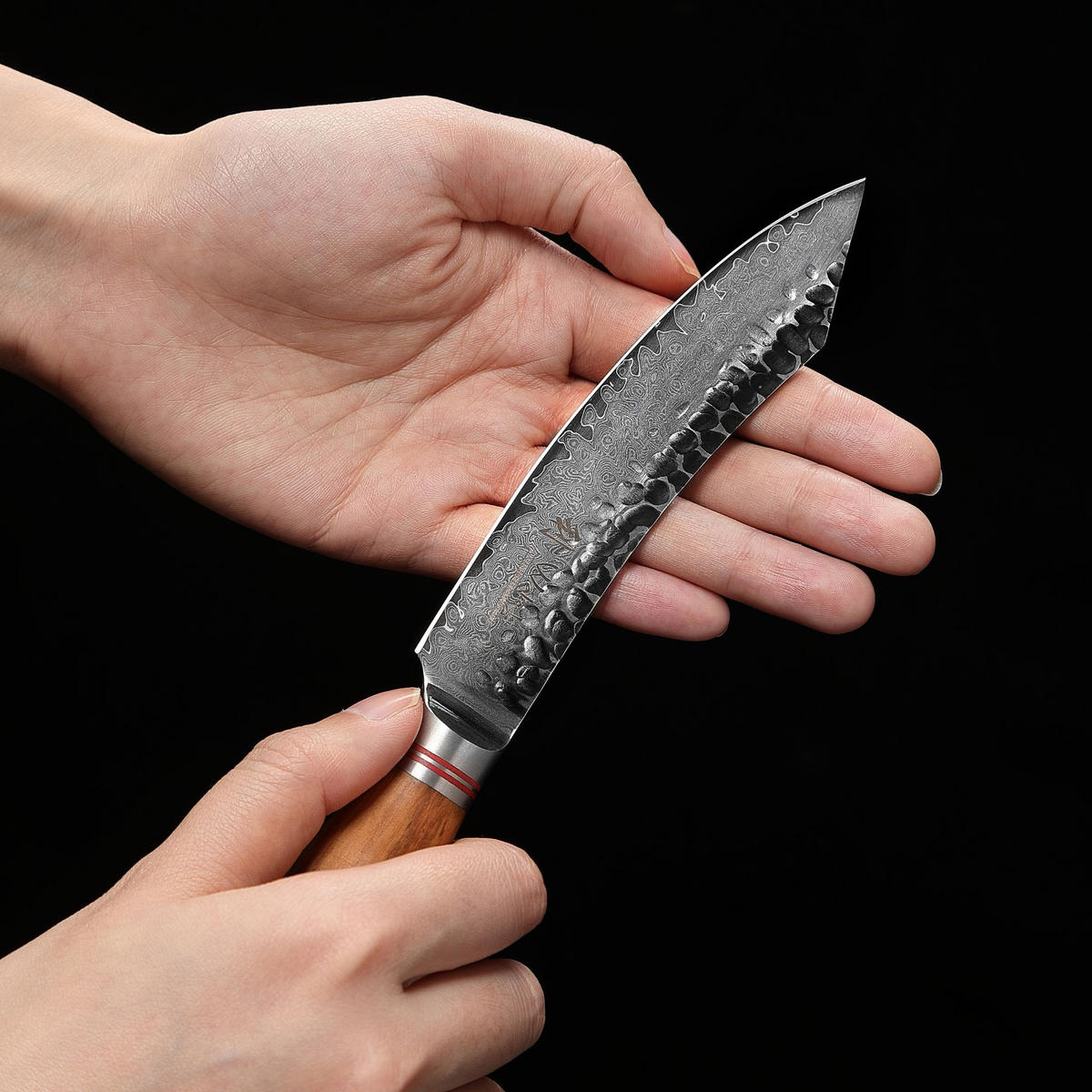 STEAKMESSER 12,5 cm - Braun, Holz/Metall (24cm) - Wakoli