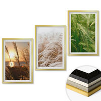 WANDBILDER 3er Set - 40x60 cm Goldrahmen - Gräser farbenfrohe Natur - Goldfarben, Kunststoff (40/60cm) - ArtPrintCave