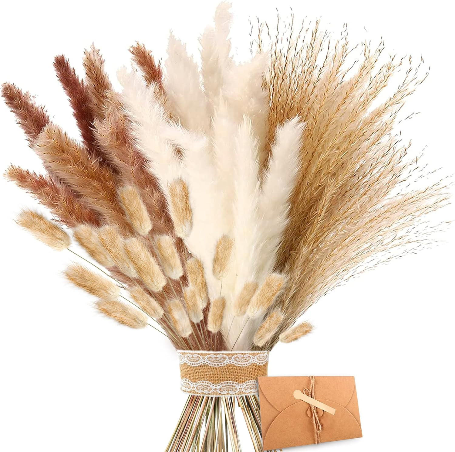 Kaket Trockenblume Mehrfarbig 5 cm