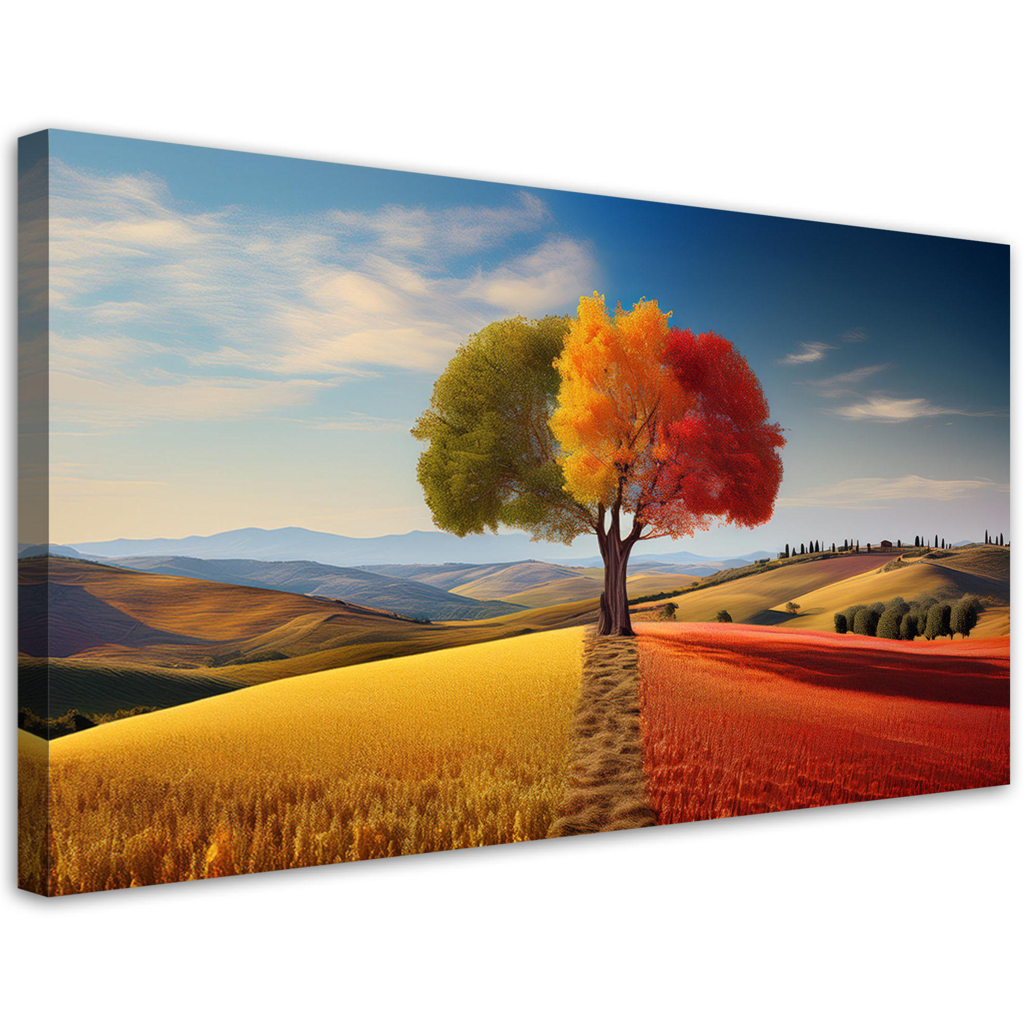 LEINWANDBILD Bunte Baum-Natur-Zusammenfassung 100x50cm - Multicolor, Textil (100/50cm) - Feeby