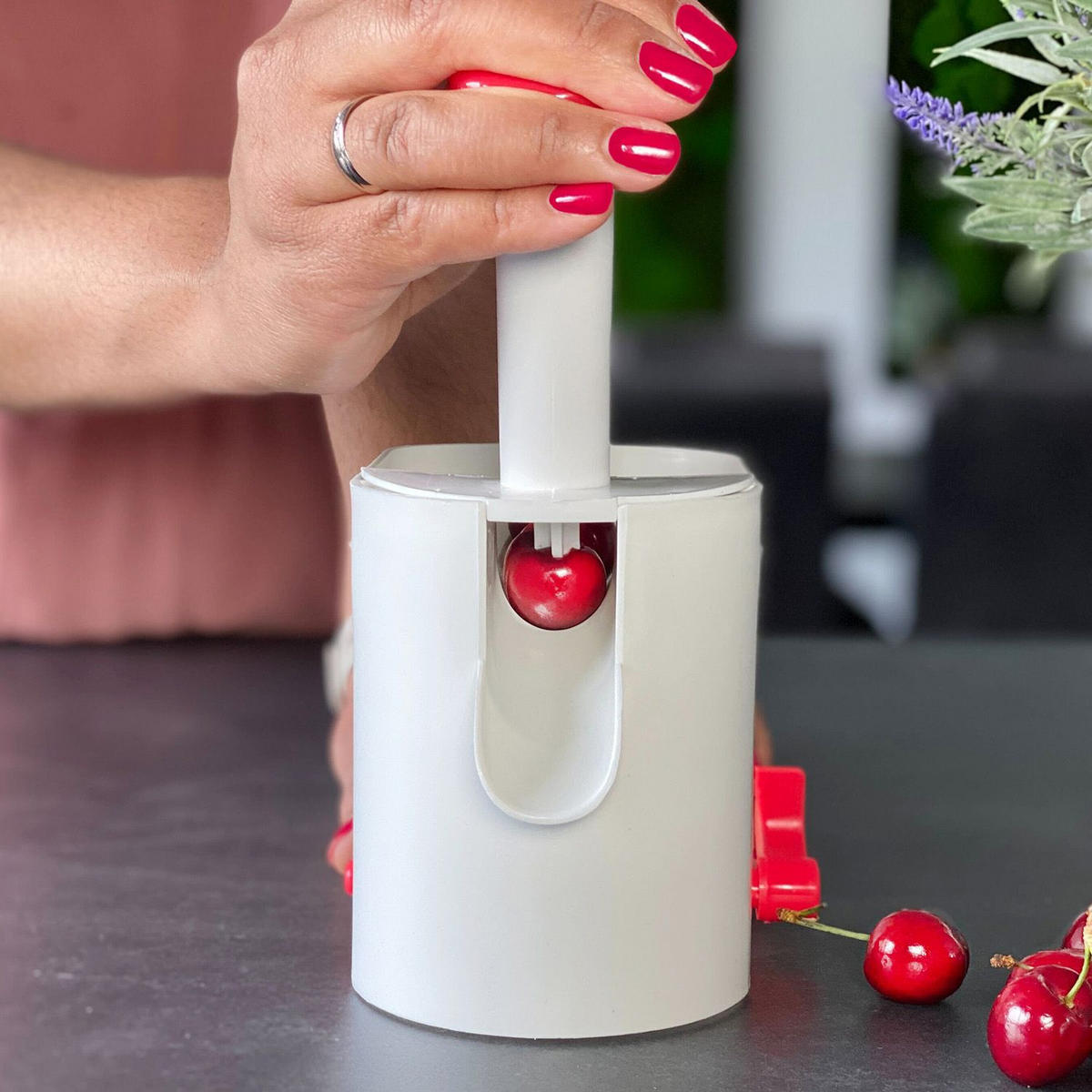 KIRSCHENTKERNER - Weiß, Kunststoff (24cm) - Intirilife