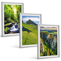 BILDER SET 3er Set - 40x60 cm Silberner Rahmen - Grüne Berge Wasserfallwald - Silberfarben, Kunststoff (40/60cm) - TULUP