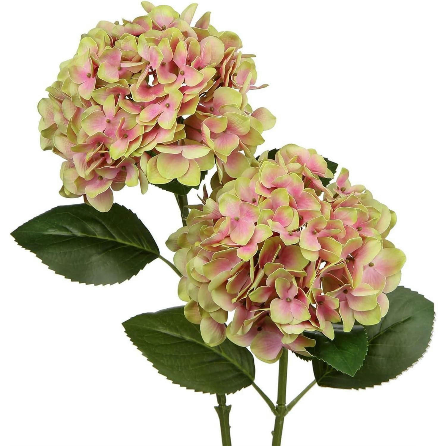 XXXLutz Kunstblume Mehrfarbig 10 cm