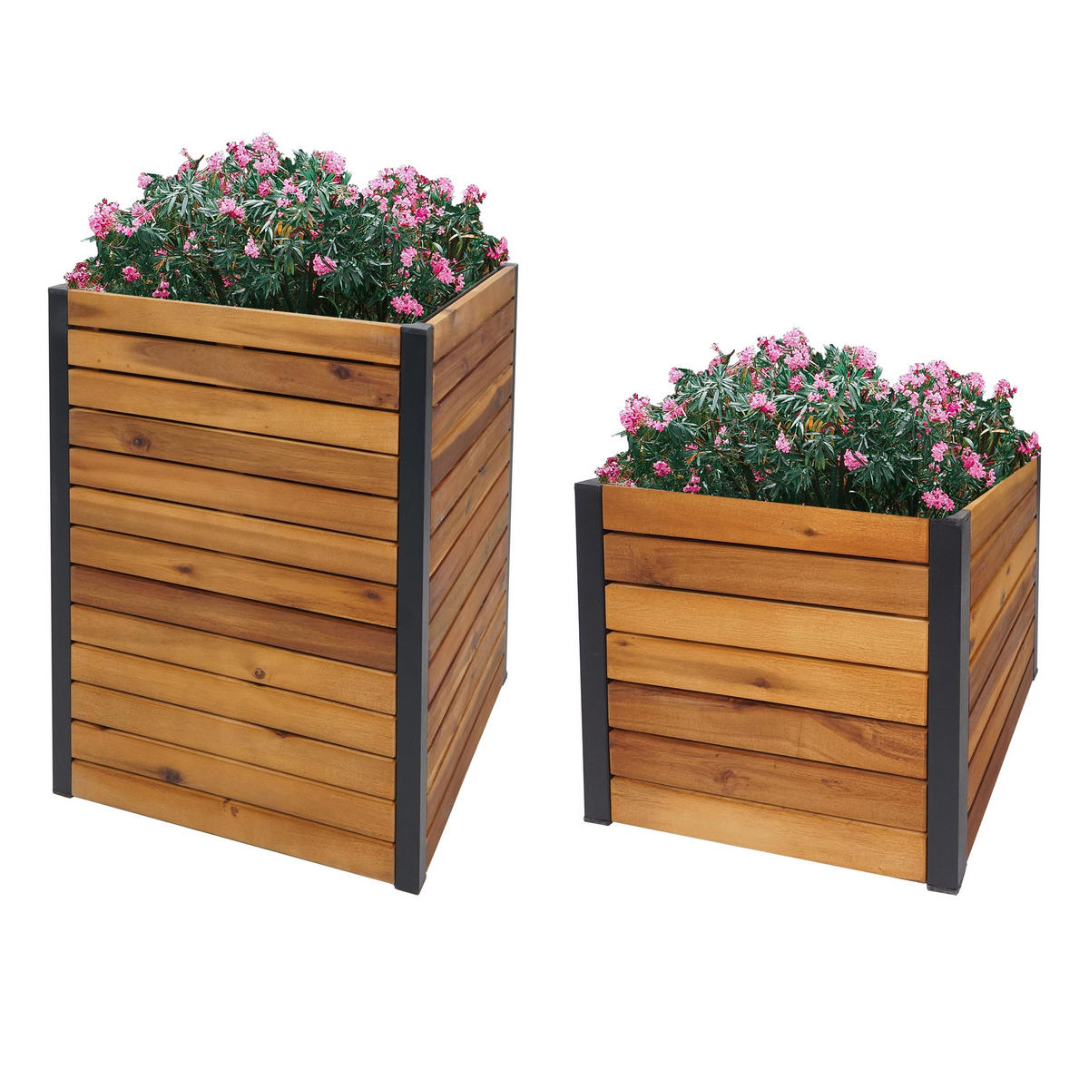 PFLANZKASTEN Braun - Braun, Holz (42/60/42cm) - MCW