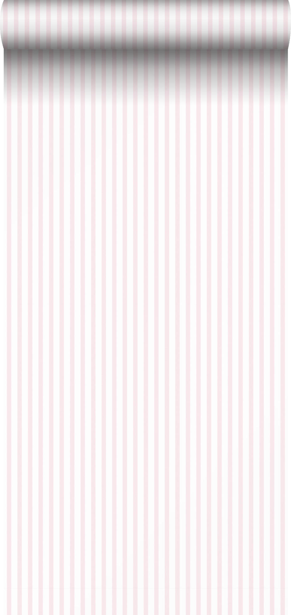 TAPETE Streifen 53 cm x 10 m - Pink, Papier (53/0.1cm) - Sanders & Sanders