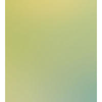 FOTOTAPETE Farbverlauf 2.5 x 2.79 m - Grün, Papier (250/279cm) - ESTAhome