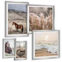 BILDER SET 5er Set - 50x50 cm & 20x30 cm & 40x60 cm Silberner Rahmen - Pferdelandschaft Seegraswald - Silberfarben, Kunststoff (40/60cm) - TULUP
