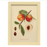 POSTER Pfirsichsamen A4 Rahmen Aus Hellem Holz - Beige, Papier (29.7/5/21cm) - Nacnic