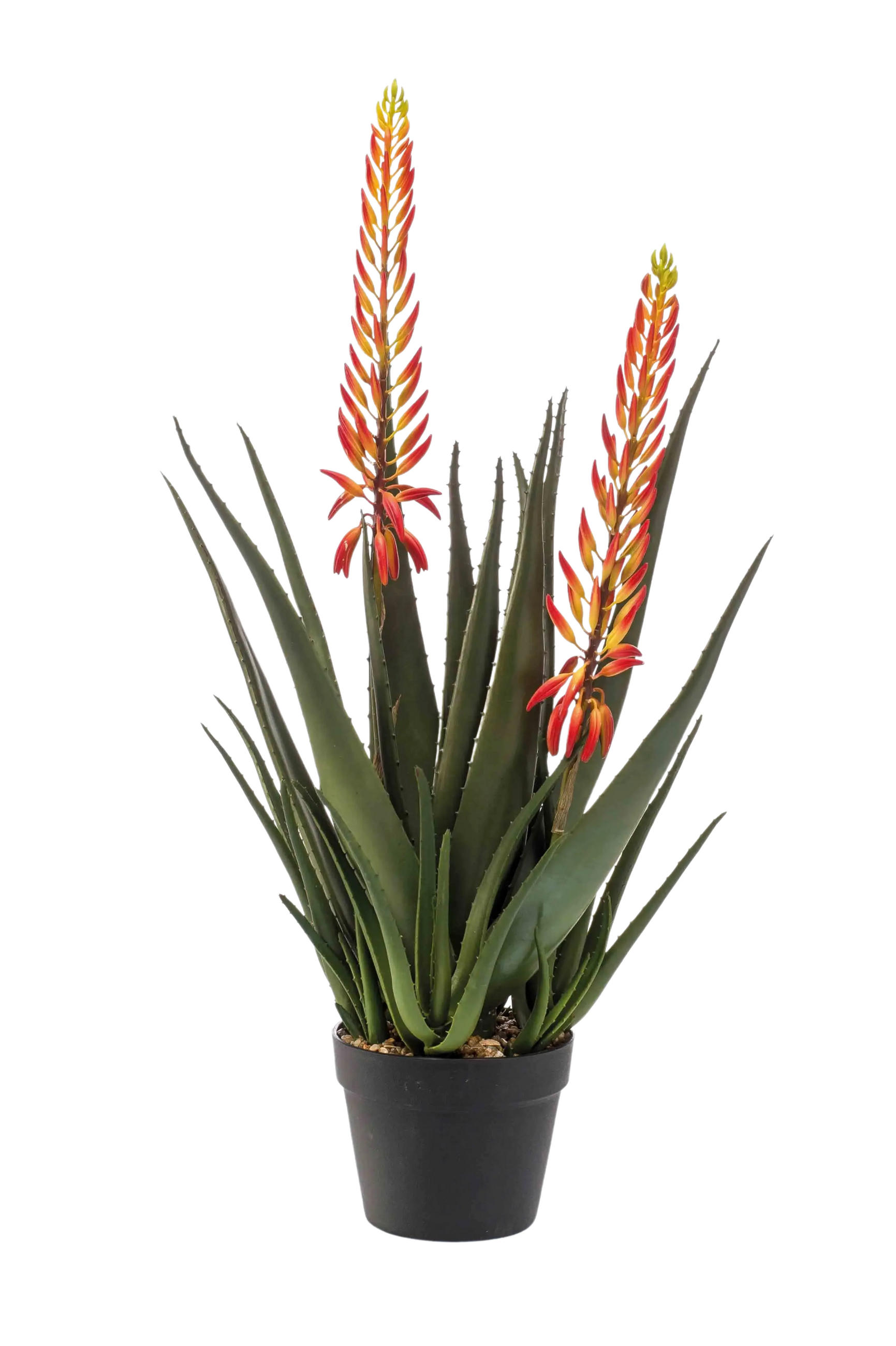 KUNSTPFLANZE Künstliche Aloe - Paulina 80 cm - Grün, Kunststoff (80cm) - Emerald