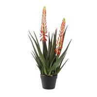 KUNSTPFLANZE Künstliche Aloe - Paulina 80 cm - Grün, Kunststoff (80cm) - Emerald