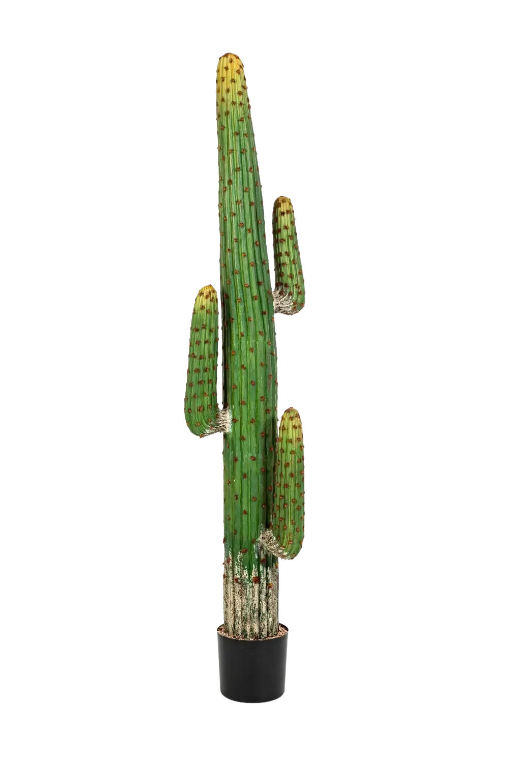 KUNSTPFLANZE Künstlicher Kaktus - Hagen 170 cm - Grün, Kunststoff (170cm) - aplanta