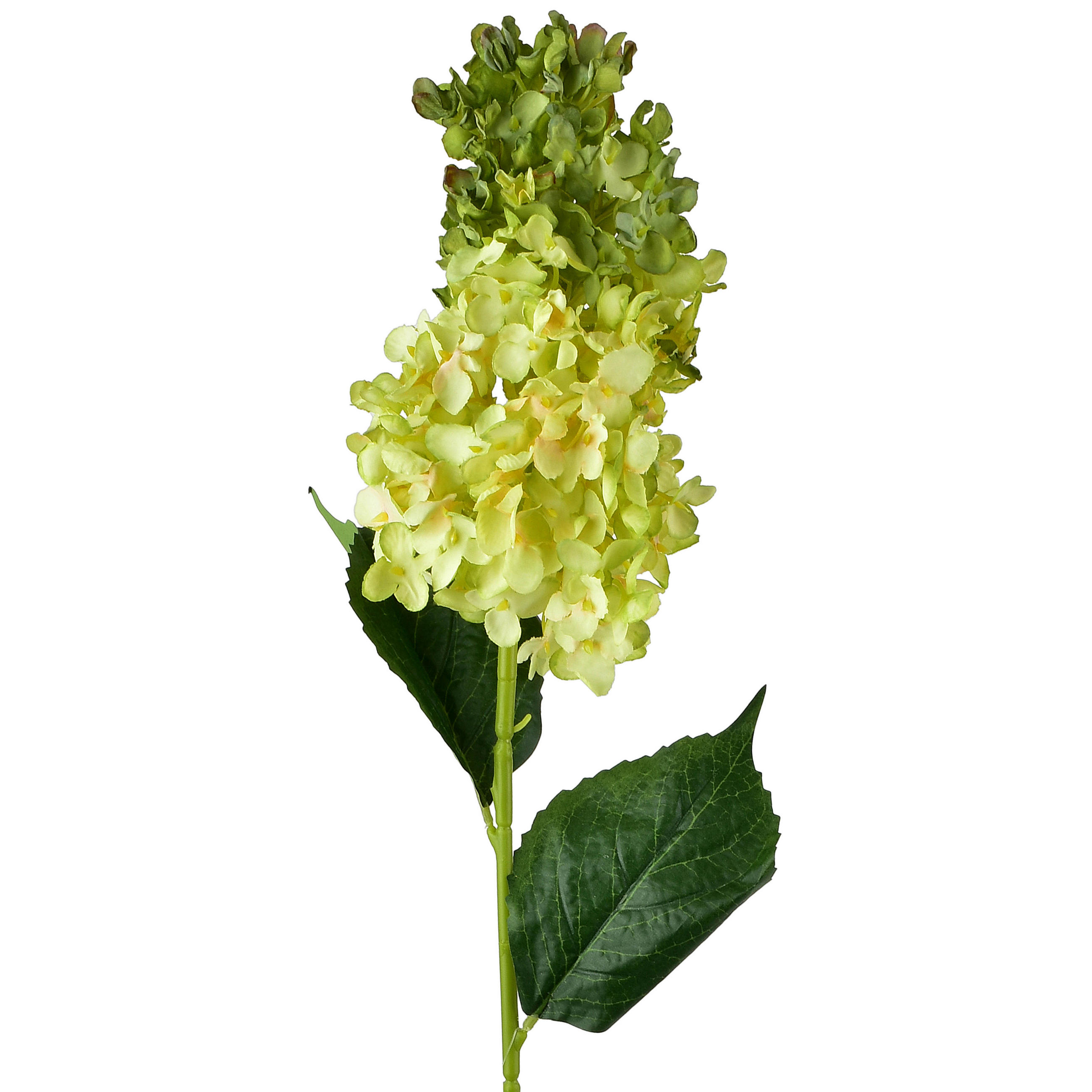 KUNSTBLUME Viridis 80cm - Grün, Kunststoff (80cm) - Mondex