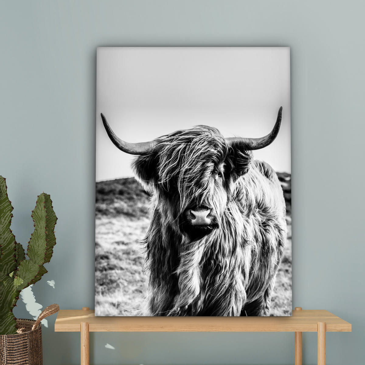 OBRAZ NA PLÁTNĚ Kráva - Skotský horal - Černá - Bílá - Zvíře - Příroda - Divoká zvěř 60x80 cm - černá, textil (60/80cm) - MuchoWow